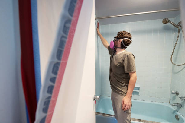 Best Mold Removal for HVAC Installations  in Barre, VT