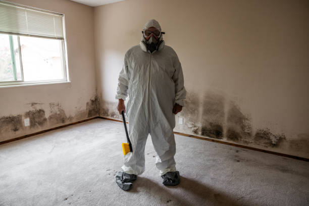 Mold Remediation for Rental Properties in Barre, VT